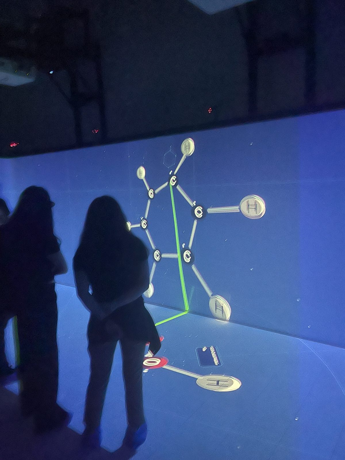 A visitor pointing at a molecule on the CAVE wall