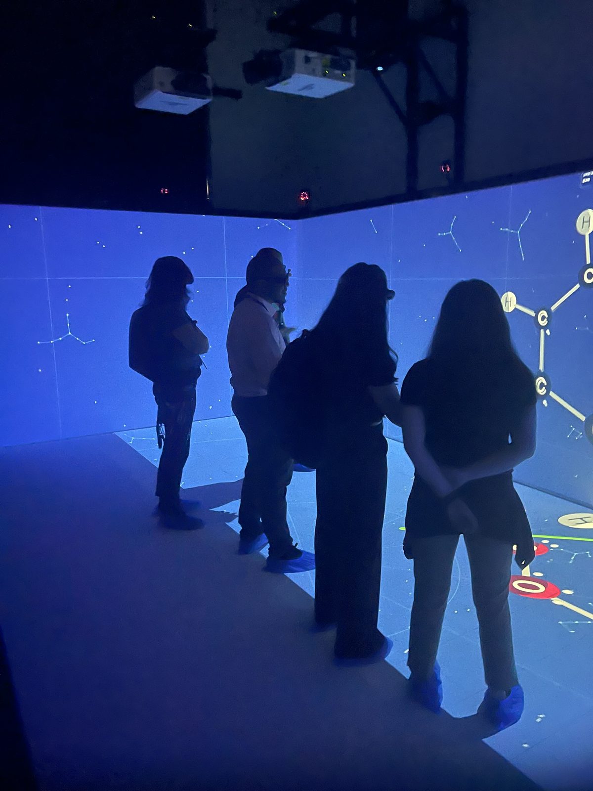 Visitors facing a molecule on the CAVE wall