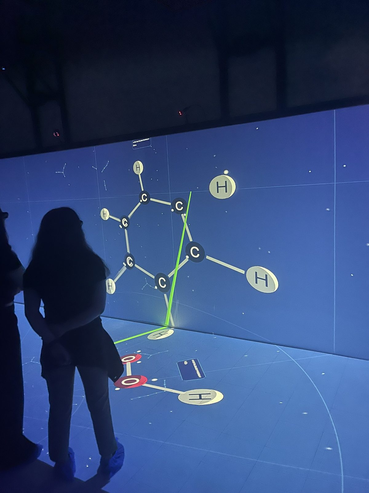 A molecule on the CAVE walls and floor
